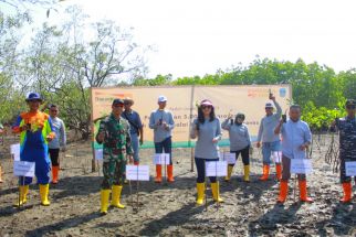 Peduli Lingkungan, Bank Danamon Tanam 5 Ribu Pohon Mangrove di Hutan Karangjaladri Pangandaran - JPNN.com Jabar