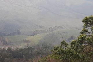 Savana Gunung Bromo Kembali Menghijau - JPNN.com Jatim