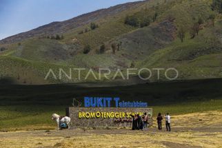 Kunjungan Wisatawan ke Bromo Masih Landai Setelah Kebakaran Hutan - JPNN.com Jatim