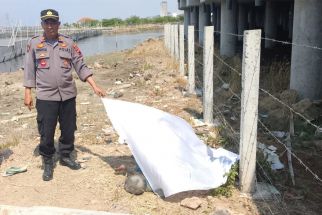 Warga Semarang Ditemukan Meninggal Dunia di Bawah Tol Demak, Ternyata ODGJ - JPNN.com Jateng