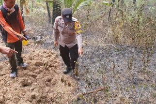 Pekerja Sadap Getah Pinus Tewas Saat Kebakaran Hutan di Trenggalek, Innalillahi - JPNN.com Jatim