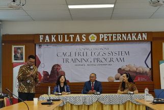 3 Lembaga Ini Bekerja Sama untuk Meningkatkan Kualitas Telur Ayam - JPNN.com Jogja