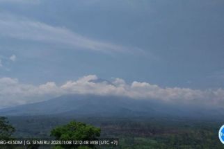 Gunung Semeru Kembali Erupsi, BPBD Lumajang: Masih Aman - JPNN.com Jatim