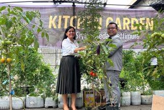 Dukung Urban Farming, Ibis Styles Medan Luncurkan Kitchen Garden - JPNN.com Sumut