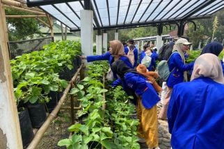 Belajar Menanam Biji dan Sayuran ala Petani di Kelas Edukasi Kebun Raya Cibodas - JPNN.com Jabar