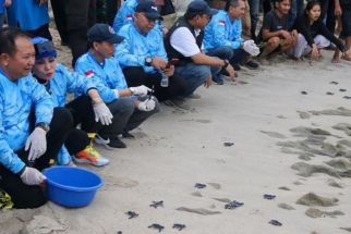 Jember Fishing Tourism 5, Ikan Tangkapan Peserta Pecah Rekor 24 Kilo - JPNN.com Jatim