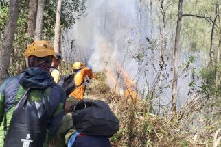 Kabar Terkini Kebakaran Lereng Gunung Panderman Batu, Meluas Hingga 3,5 Hektare - JPNN.com Jatim