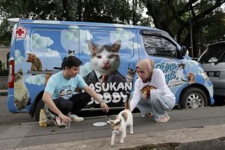 Pilpres 2024, Gabungan Artis dan Influencer Kompak Dukung Prabowo - Gibran - JPNN.com Jabar