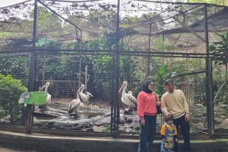 Libur Nataru 2023, Kebun Binatang Bandung Targetkan Kunjungan 20 Ribu Wisatawan - JPNN.com Jabar