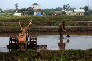 Pakar Lingkungan Dorong Urban Farming di Kota Semarang Berkelanjutan - JPNN.com Jateng