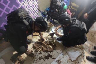 Polisi Kembali Temukan Ratusan Butir Peluru Aktif dan Granat Nanas di Rumah Kontrakan Depok - JPNN.com Jabar
