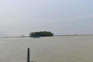 Mengenal Arnavat, Pulau Viral yang Baru Ditemukan di Demak - JPNN.com Jateng