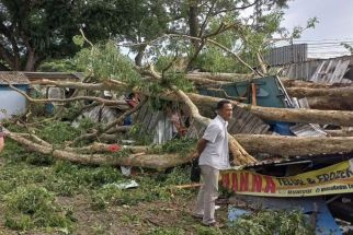 Belasan Warung di Malang Rusak Tertimpa Pohon Tumbang - JPNN.com Jatim