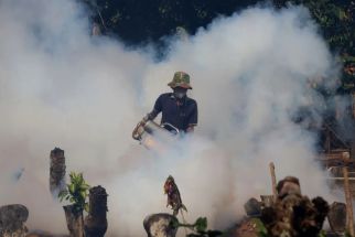 Kasus DBD dan Cikungunya Merebak di Ponorogo, Gerakan PSN Mulai Digencarkan - JPNN.com Jatim
