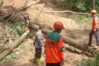 33 Rumah di Cilacap Terdampak Longsor, BPBD Masih Berjibaku - JPNN.com Jateng