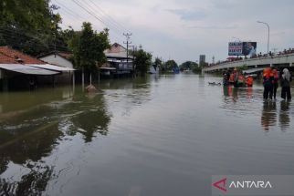 BPBD Demak: Banjir Mulai Terlihat Surut - JPNN.com Jateng