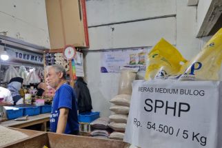 DKPP Jabar Ungkap Penyebab Meroketnya Harga Beras - JPNN.com Jabar