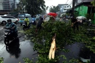 Hujan Lebat, Puluhan Pohon Tumbang, BMKG Ungkap Penyebab Cuaca Ekstrem di Semarang - JPNN.com Jateng