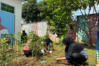 KKN Upgris Berdayakan Masyarakat Gayamsari Semarang Melalui Pembuatan Urban Farming - JPNN.com Jateng