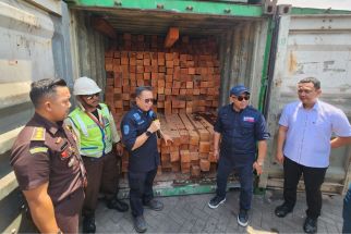 Ditjen Gakkum KLHK Ungkap Peredaran 55 Kontainer Kayu Ilegal dari Kalimantan - JPNN.com Jatim