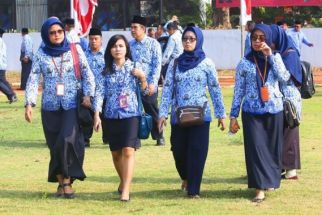 Pemkab Kulon Progo Buka Rekrutmen CPNS dan PPPK 2024, Ayo Daftar Lur - JPNN.com Jogja