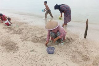 Berburu Kerang Remis, Warga Pesisir Tanjung Lesung Pandeglang Gunakan Peralatan Sederhana - JPNN.com Banten