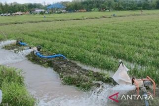 Cegah Kekeringan, Pemkab Karawang Ajukan Penambahan Ratusan Bantuan Pompa Air untuk Petani - JPNN.com Jabar