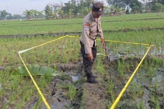 Tragis, Pekerja Sawah di Ngawi Tewas Tersengat Listrik Kawat Jebakan Tikus - JPNN.com Jatim