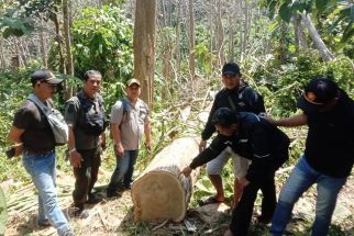 Malam-Malam Mengendap di Hutan, Pria di Malang Angkut Kayu Jati Curian - JPNN.com Jatim