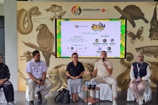 Animalium BRIN Kebun Raya Cibinong Bogor Jadi Lokasi Favorit Wisatawan Pelajari Satwa Liar - JPNN.com Jabar