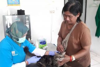 Meriahkan HJB ke-542, Pemkab Bogor Hadirkan Layanan Vaksinasi Hewan Gratis - JPNN.com Jabar