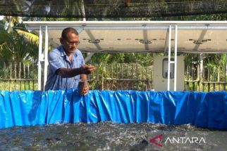 Menjelang Musim Kemarau, Apa yang Harus Dilakukan Peternak Ikan? - JPNN.com Jogja