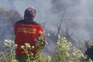 Kebakaran Savana Widodaren Bromo Akhirnya Padam Setelah Puluhan Personel Dikerahkan - JPNN.com Jatim