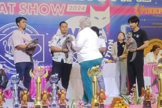 Melihat Ratusan Jenis Kucing Ras Adu Kecantikan di Surabaya - JPNN.com Jatim