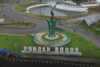 Pemkab Bogor Tinjau Ulang Izin-izin Pembangunan di Kawasan Wisata Kebun Teh Puncak - JPNN.com Jabar