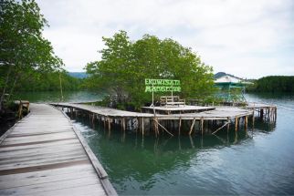 PT Bukit Asam Sukses Tanam 30 Ribu Mangrove untuk Bantu Pelestarian Pesisir - JPNN.com Jatim