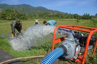 Jogja Resmi Berstatus Siaga Darurat Bencana Kekeringan - JPNN.com Jogja