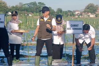 Imbas Kenaikan Harga Komoditas Bahan Pokok, Inflasi di Tulungagung Naik Tipis - JPNN.com Jatim