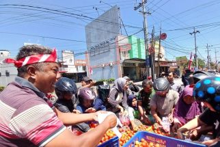 Petani di Jember Bagikan Tomat Gratis ke Warga Karena Harga Anjlok, 5 Menit Ludes - JPNN.com Jatim