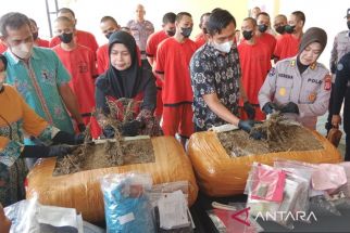 Polda DIY Berburu Jaringan Narkoba sampai ke Aceh, Menemukan 2.500 Pohon Ganja - JPNN.com Jogja