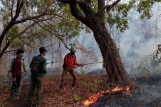 Taman Nasional Baluran Kebakaran, Lahan Hangus Capai 2,18 Hektare - JPNN.com Jatim