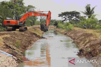 Normalisasi Irigasi Sekunder BKG Selamatkan 360 Hektare Sawah Kritis di Bekasi - JPNN.com Jabar