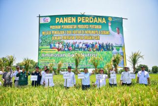 Panen Raya Padi Organik di Indramayu, Produksi Meningkat 50 Persen - JPNN.com Jabar