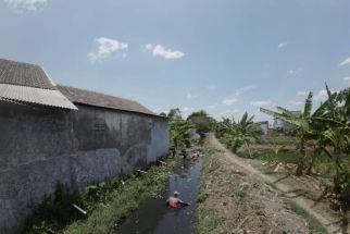 Antisipasi Banjir, Pemkot Semarang Intensifkan Pengerukan Sedimentasi Sungai - JPNN.com Jateng