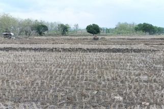 57 Desa di Bojonegoro Masih Alami Kekeringan Ekstrem - JPNN.com Jatim