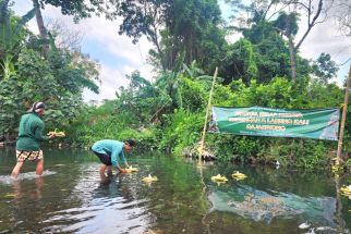 Larung Belasan Tumpeng ke Sungai, Cara Warga Jogja Berterima Kasih dengan Alam - JPNN.com Jogja