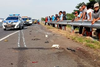 Kecelakaan di Tol Pemalang Menewaskan 3 Orang, Sopir Truk jadi Tersangka - JPNN.com Jateng