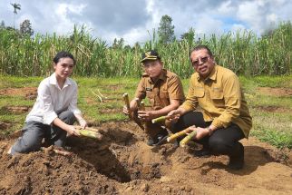 Koperasi Kana dan UGM Beri Penyuluhan Teknik Ringpit Petani Tebu - JPNN.com Jatim