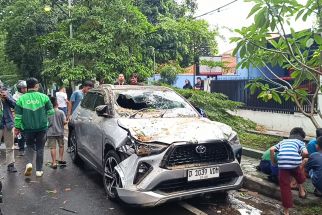 Hujan Disertai Angin Kencang di Bandung, Pohon Tumbang Timpa 5 Mobil, Ibu dan Anak Terluka - JPNN.com Jabar