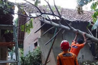 Angin Kencang Terjang Kota Serang, 278 Rumah Rusak - JPNN.com Banten